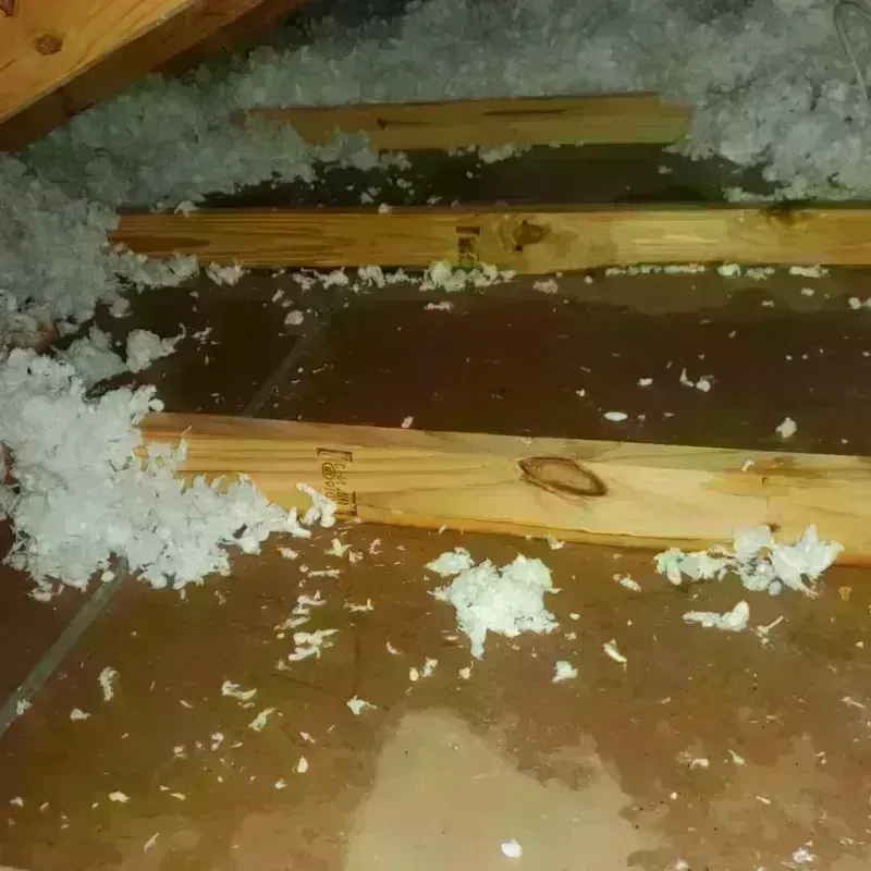 Attic Water Damage in Eureka, NV