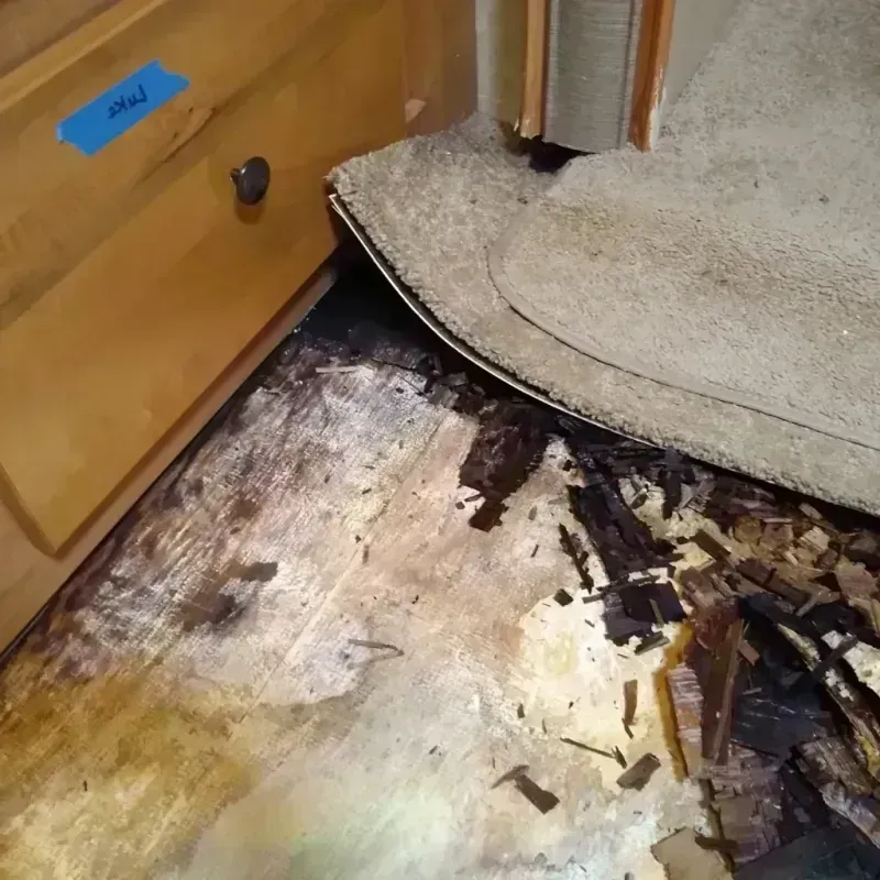 Wood Floor Water Damage in Eureka, NV